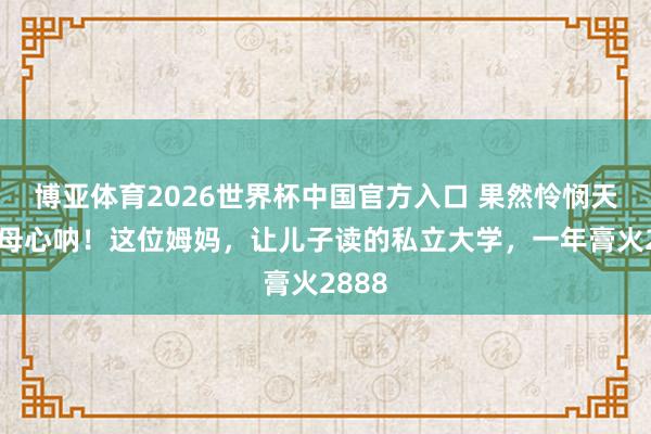 博亚体育2026世界杯中国官方入口 果然怜悯天地父母心呐！这位姆妈，让儿子读的私立大学，一年膏火2888