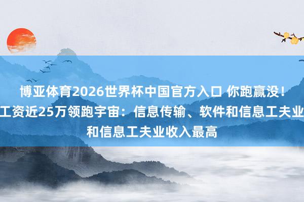 博亚体育2026世界杯中国官方入口 你跑赢没！IT业年均工资近25万领跑宇宙：信息传输、软件和信息工夫业收入最高