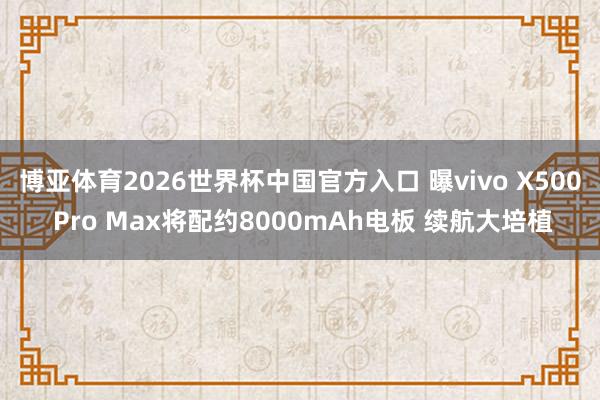 博亚体育2026世界杯中国官方入口 曝vivo X500 Pro Max将配约8000mAh电板 续航大培植
