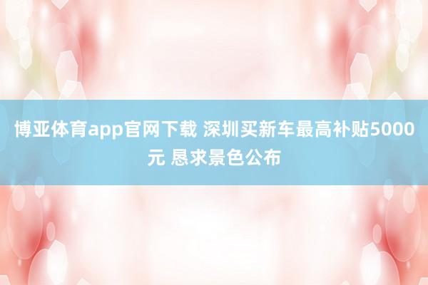 博亚体育app官网下载 深圳买新车最高补贴5000元 恳求景色公布