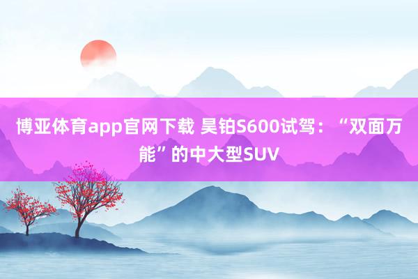 博亚体育app官网下载 昊铂S600试驾：“双面万能”的中大型SUV