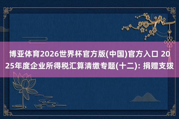 博亚体育2026世界杯官方版(中国)官方入口 2025年度企业所得税汇算清缴专题(十二): 捐赠支拨