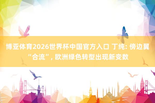 博亚体育2026世界杯中国官方入口 丁纯: 傍边翼“合流”， 欧洲绿色转型出现新变数