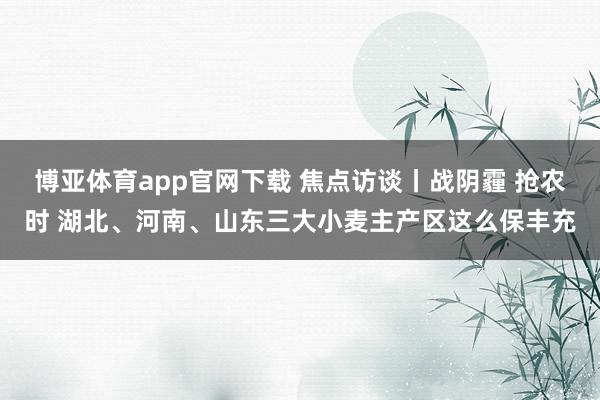 博亚体育app官网下载 焦点访谈丨战阴霾 抢农时 湖北、河南、山东三大小麦主产区这么保丰充