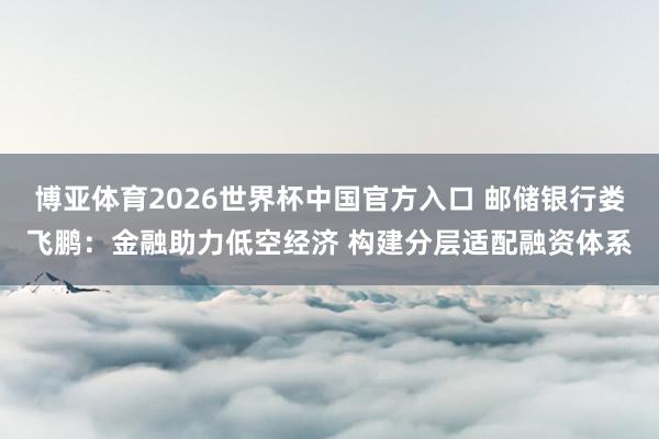 博亚体育2026世界杯中国官方入口 邮储银行娄飞鹏：金融助力低空经济 构建分层适配融资体系