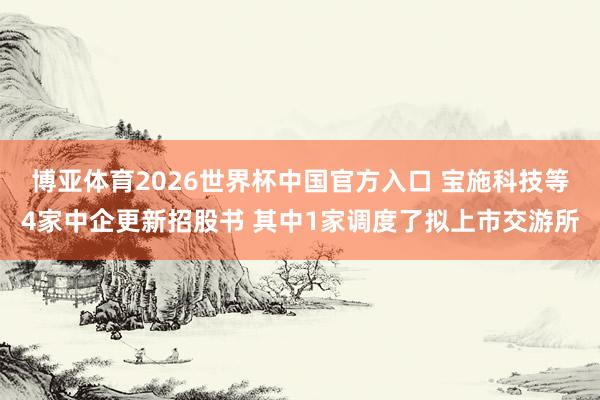 博亚体育2026世界杯中国官方入口 宝施科技等4家中企更新招股书 其中1家调度了拟上市交游所