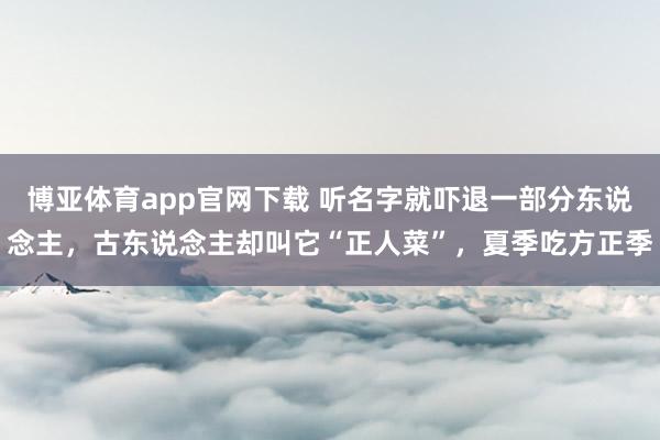 博亚体育app官网下载 听名字就吓退一部分东说念主，古东说念主却叫它“正人菜”，夏季吃方正季