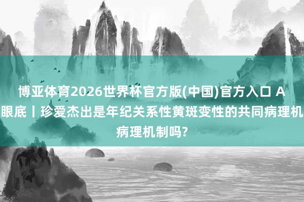 博亚体育2026世界杯官方版(中国)官方入口 ARVO 眼底丨珍爱杰出是年纪关系性黄斑变性的共同病理机制吗?