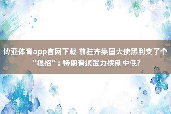 博亚体育app官网下载 前驻齐集国大使黑利支了个“狠招”: 特朗普须武力挟制中俄?